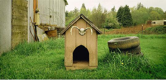 《最终幻想16》二周目模式首曝6分钟演示